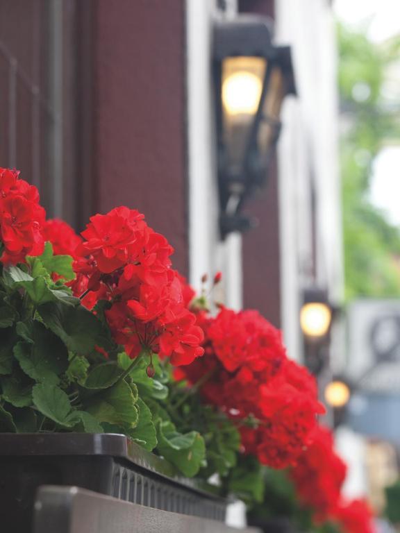 Hotel Felsenkeller Ruedesheim am Rhein Ngoại thất bức ảnh