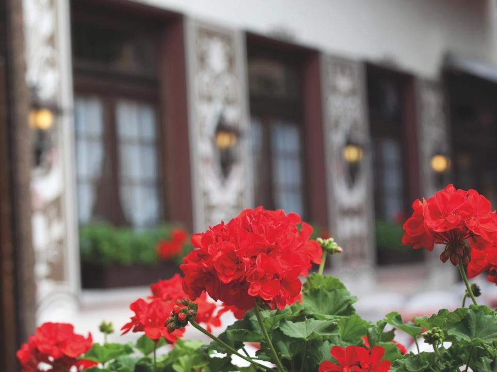 Hotel Felsenkeller Ruedesheim am Rhein Ngoại thất bức ảnh