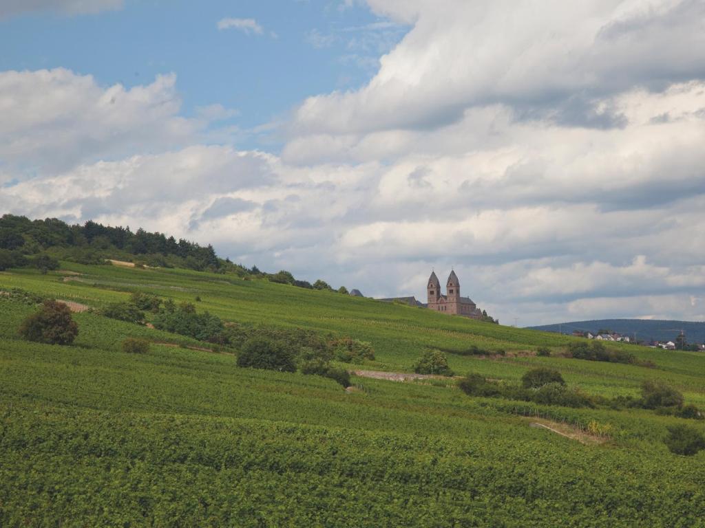 Hotel Felsenkeller Ruedesheim am Rhein Ngoại thất bức ảnh
