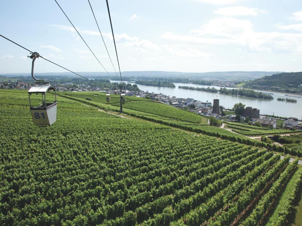 Hotel Felsenkeller Ruedesheim am Rhein Ngoại thất bức ảnh