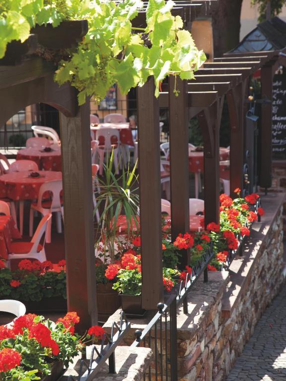 Hotel Felsenkeller Ruedesheim am Rhein Ngoại thất bức ảnh