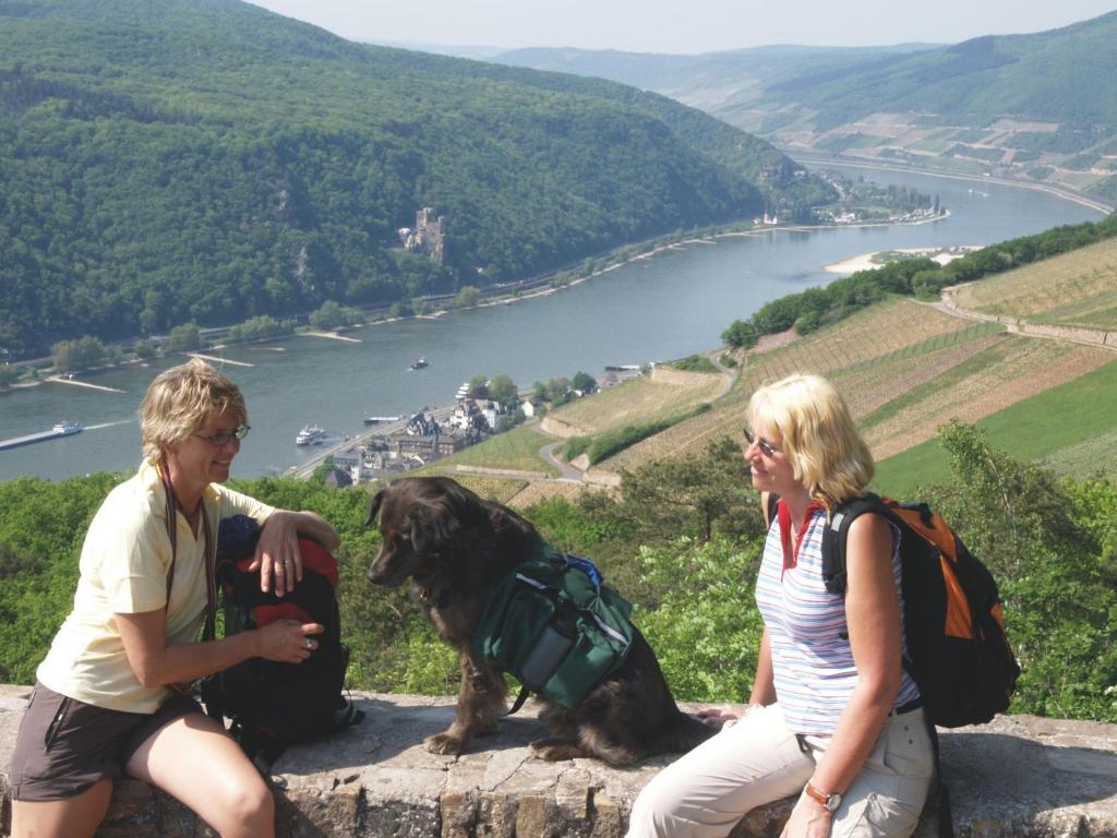 Hotel Felsenkeller Ruedesheim am Rhein Ngoại thất bức ảnh
