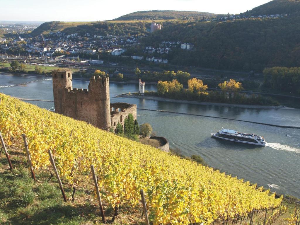 Hotel Felsenkeller Ruedesheim am Rhein Ngoại thất bức ảnh